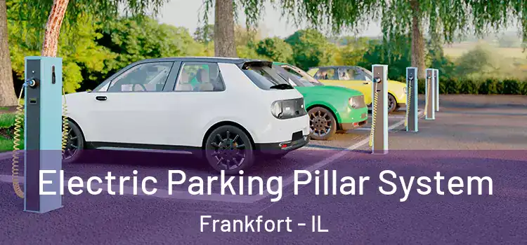  Electric Parking Pillar System Frankfort - IL