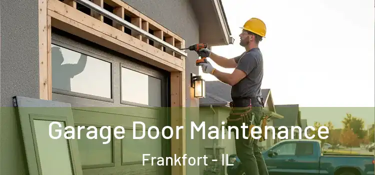 Garage Door Maintenance Frankfort - IL